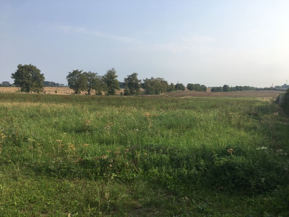 Działka budowlana Dobre. Zdjęcie 2