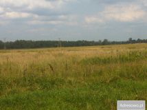 Działka rolna Chutcze Zajezioro. Zdjęcie 1