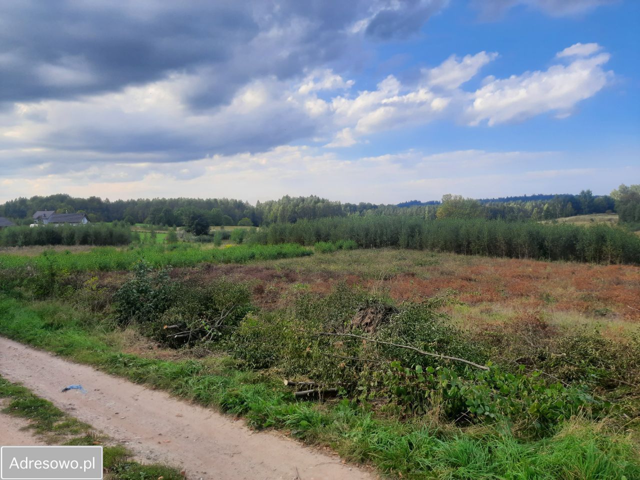 Działka budowlana Rybaki, ul. Spacerowa. Zdjęcie 7