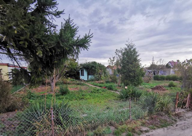 Działka rod Żnin. Zdjęcie 1