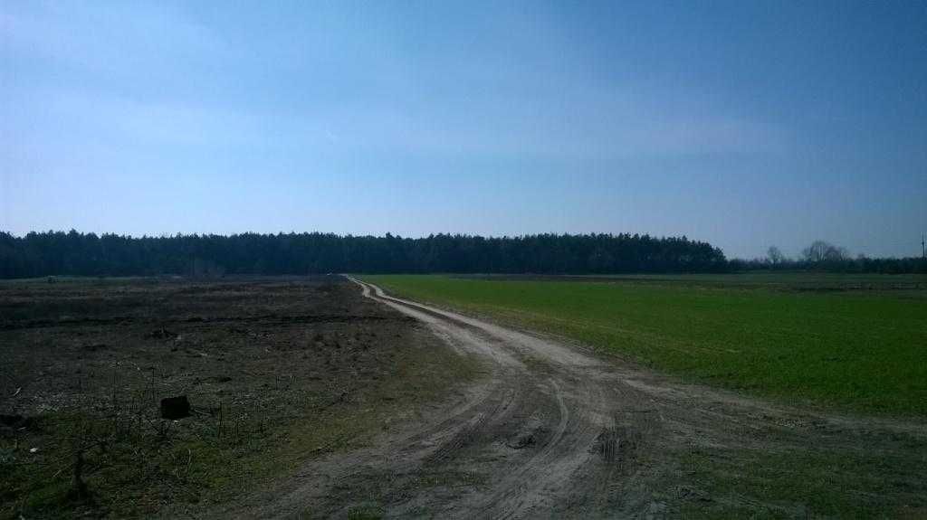 Działka inwestycyjna Sławczyn. Zdjęcie 6