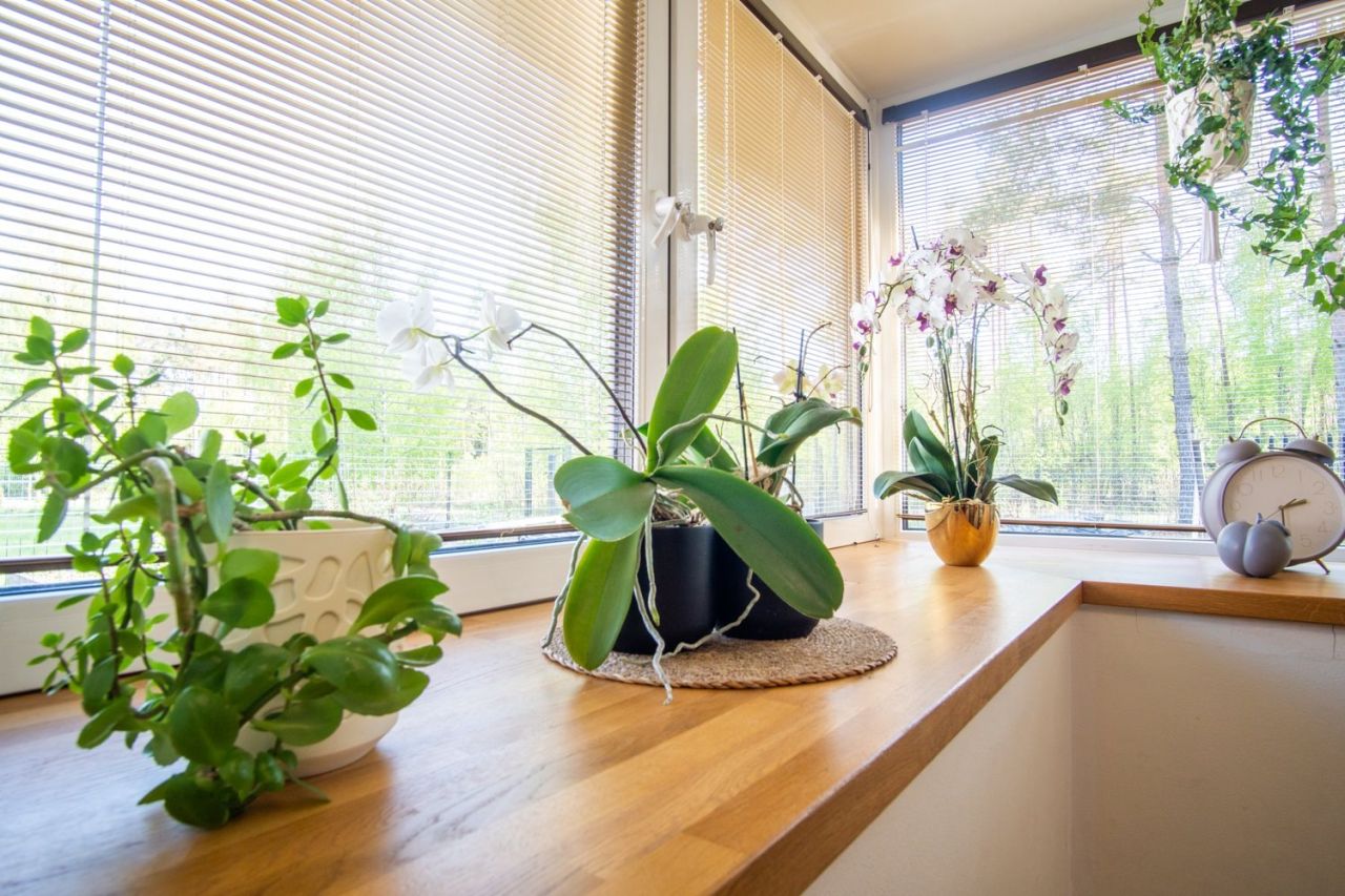 dom wolnostojący, 3 pokoje Wąglik-Kolonia. Zdjęcie 15