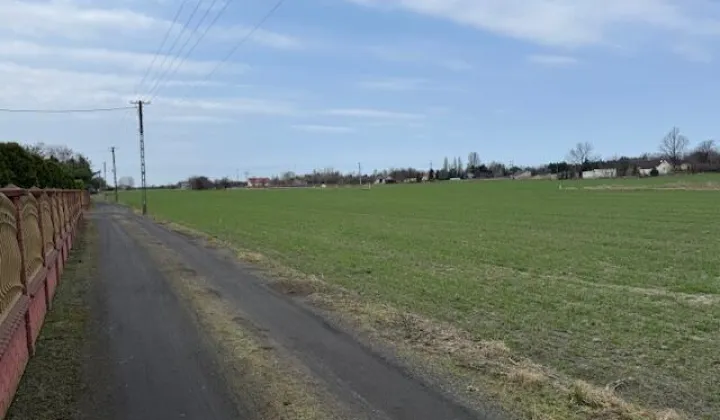 Działka rolna Żaby