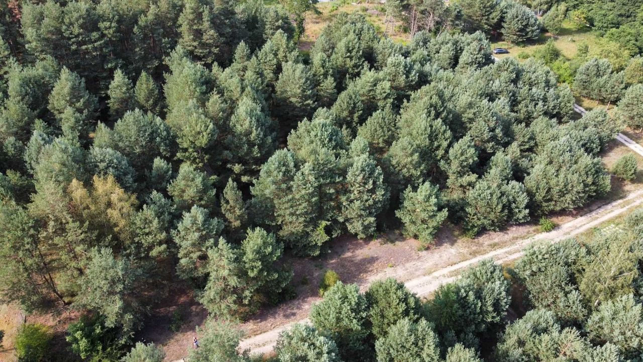 Działka budowlana Władysławów. Zdjęcie 8