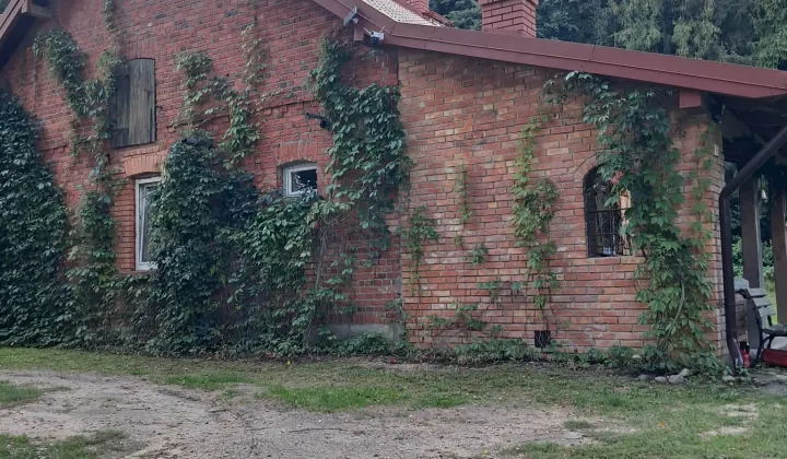 dom wolnostojący, 2 pokoje Olkowo
