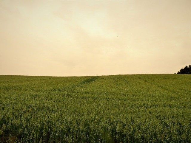 Działka rolna Markajmy. Zdjęcie 1