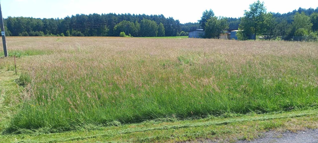 Działka budowlana Wąglin. Zdjęcie 3