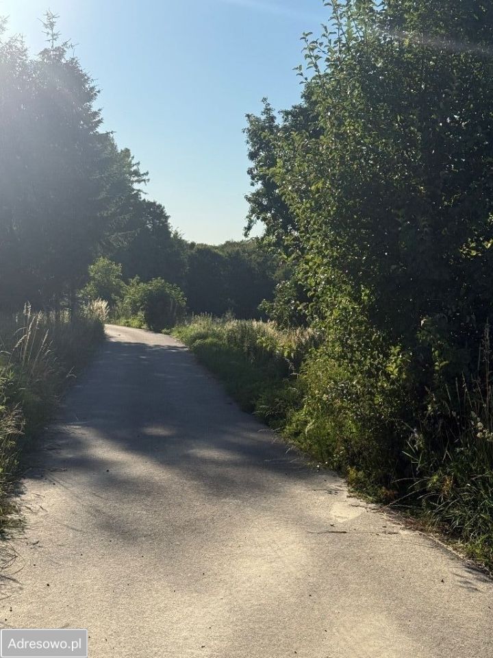 Działka siedliskowa Grzegorzowice. Zdjęcie 4
