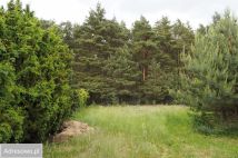 Działka budowlana Dzikowo Chrapy, ul. Tulipanowa. Zdjęcie 4