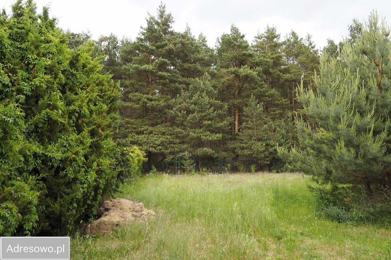 Działka budowlana Dzikowo Chrapy, ul. Tulipanowa. Zdjęcie 5