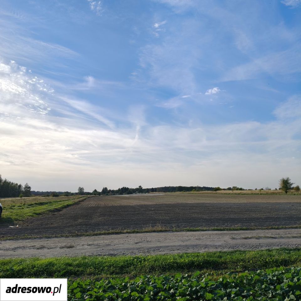 Działka budowlana Mazurowice, os. Kolonia. Zdjęcie 2