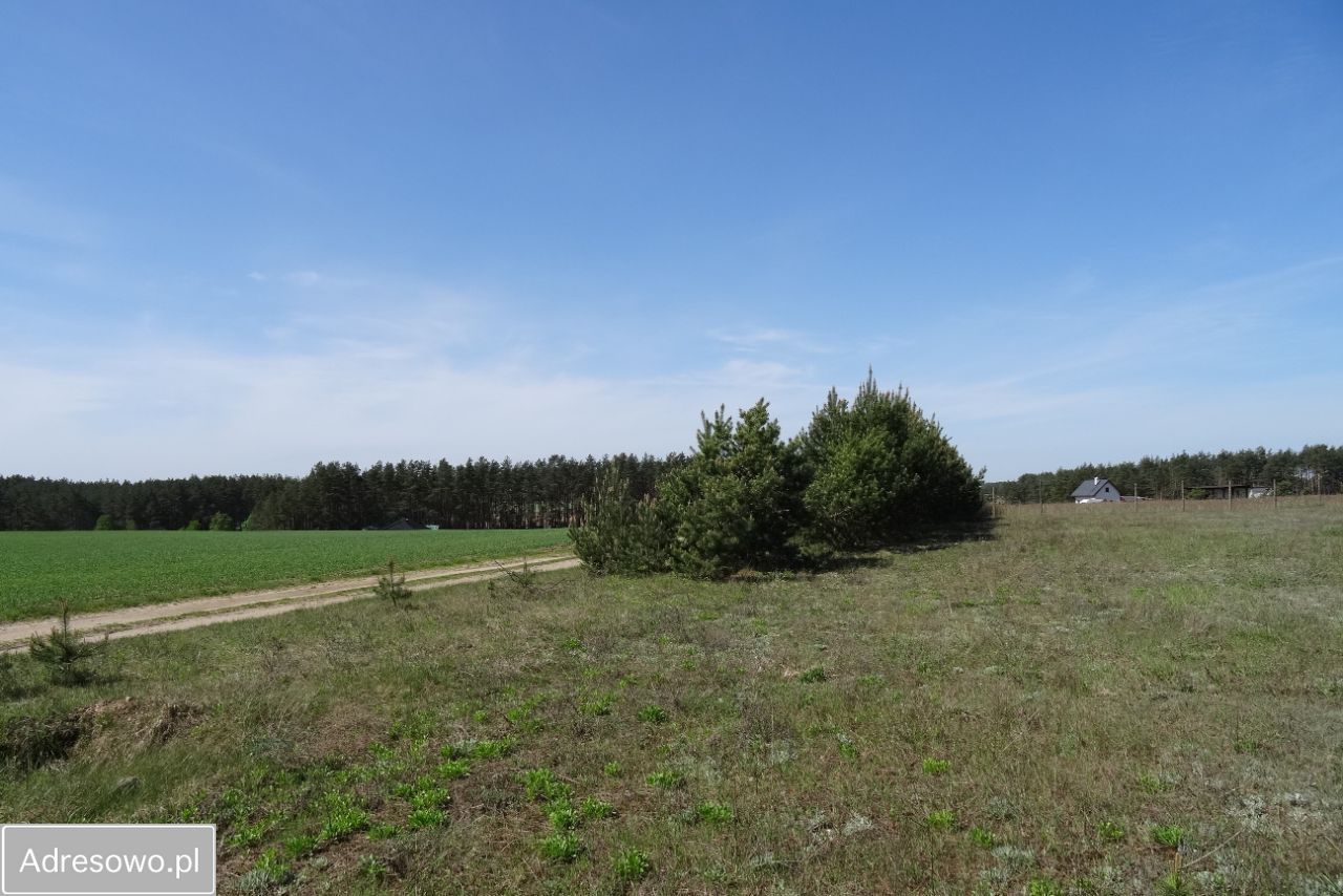 Działka rekreacyjna Lipnica. Zdjęcie 5