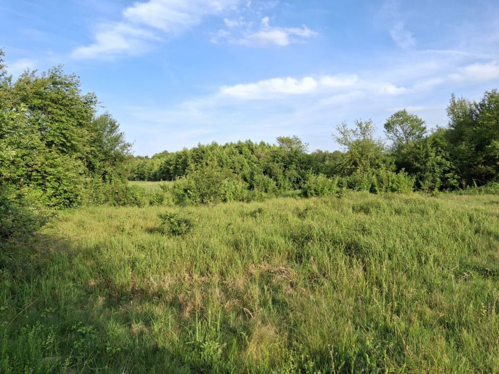 Działka siedliskowa Dęba. Zdjęcie 8