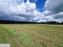 Działka rolna Żuławka. Zdjęcie 1