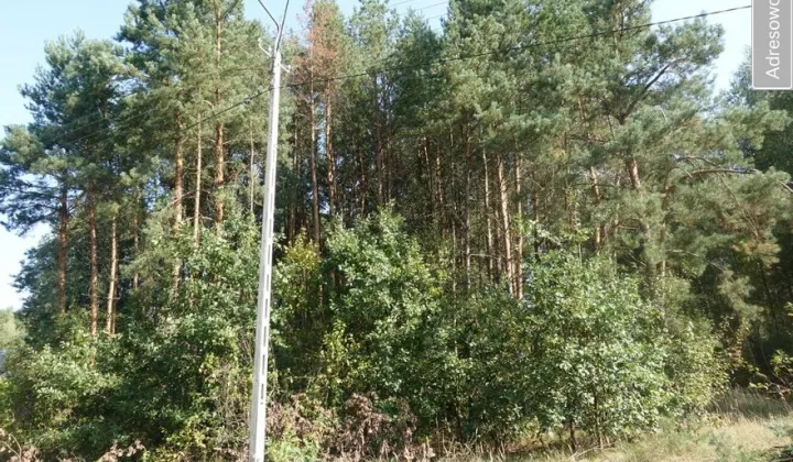 Działka budowlana Zajączków