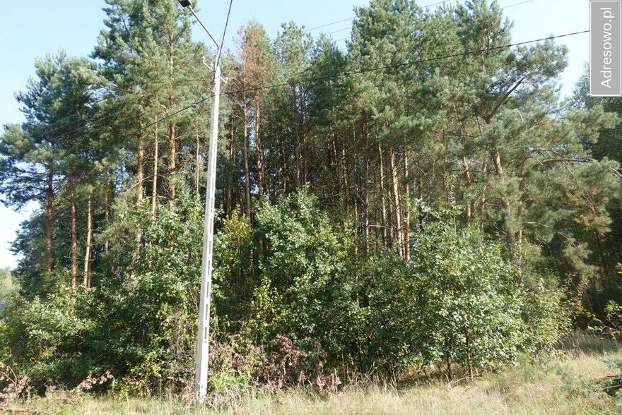 Działka budowlana Zajączków. Zdjęcie 1