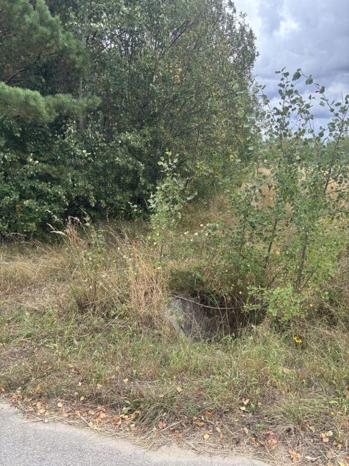 Działka budowlana Wola Łagowska. Zdjęcie 4