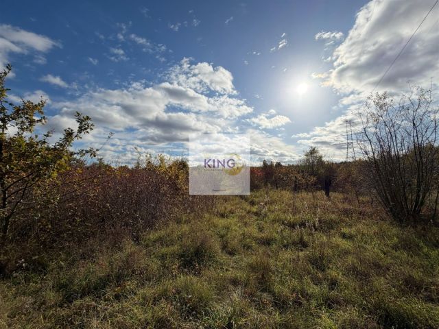 Działka siedliskowa Żórawie Szczawno. Zdjęcie 9