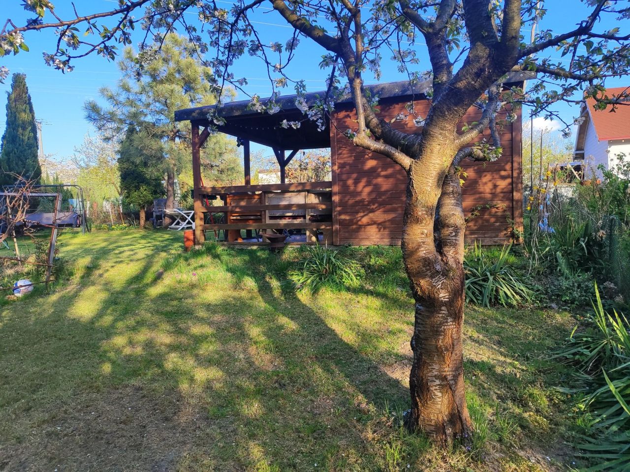 Działka rod Płock. Zdjęcie 1