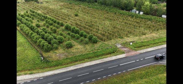 Działka inwestycyjna Żurawia. Zdjęcie 1