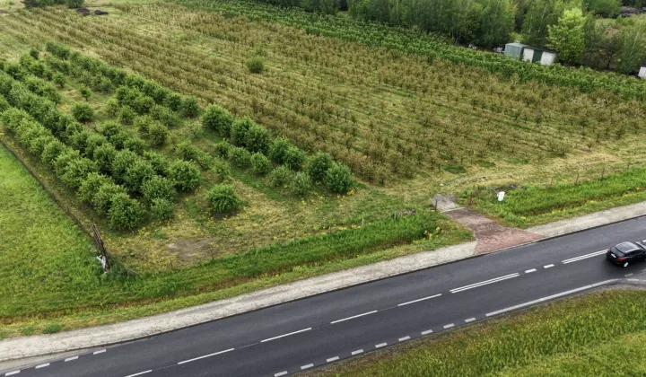 Działka inwestycyjna Żurawia