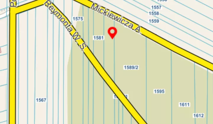 Działka rolna Nasielsk, ul. Władysława Stanisława Reymonta