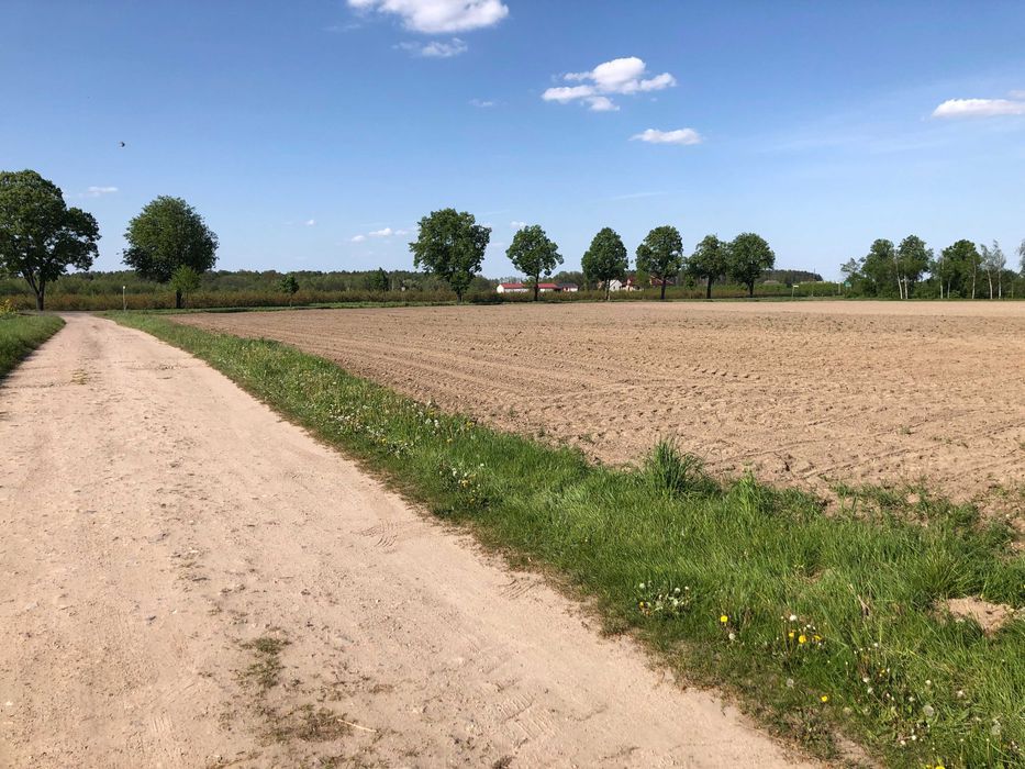 Działka inwestycyjna Podpniewki. Zdjęcie 6