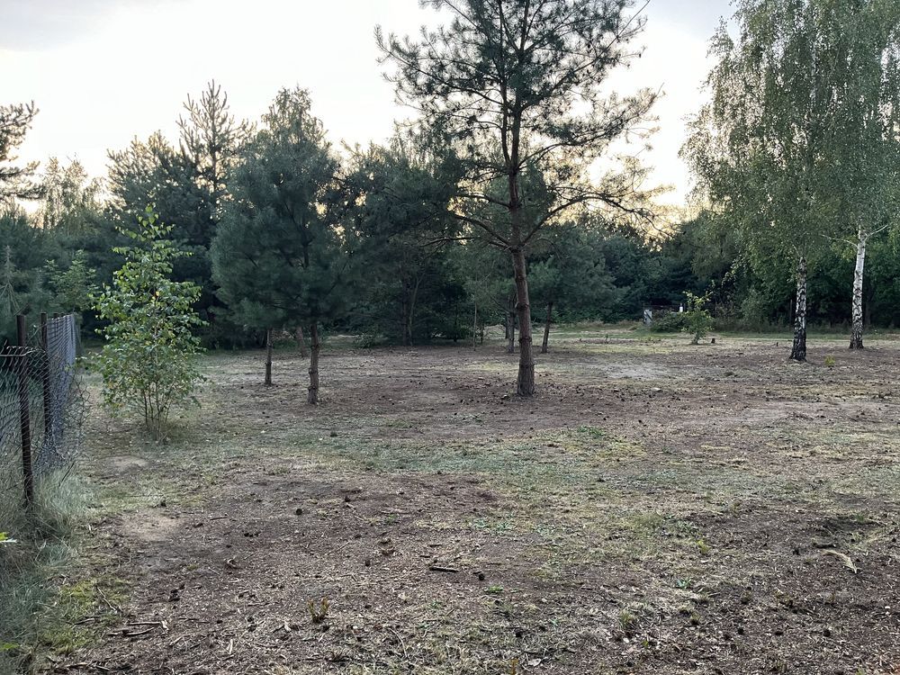 Działka budowlana Siedlątków. Zdjęcie 2