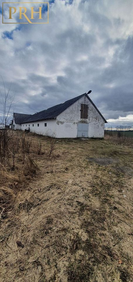 Lokal Rąbinko. Zdjęcie 5