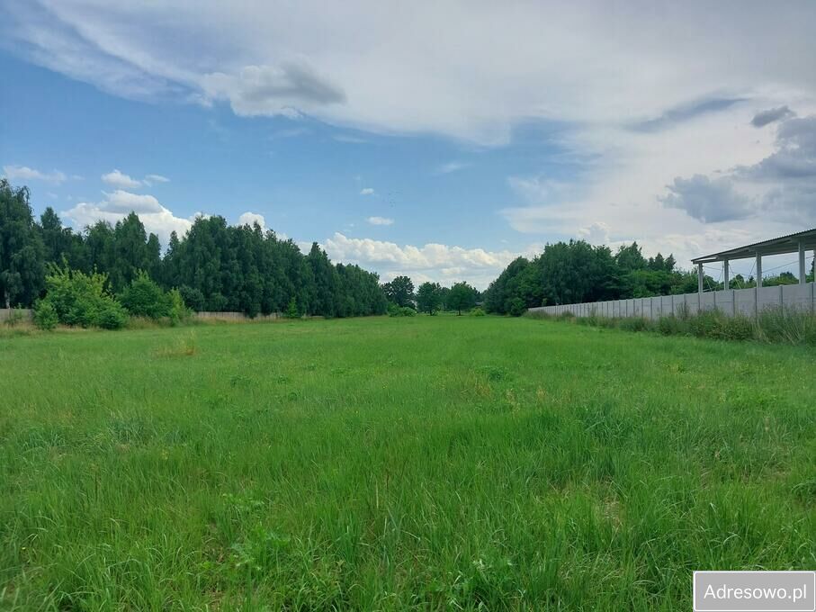 Działka rolna Zduńska Wola. Zdjęcie 7