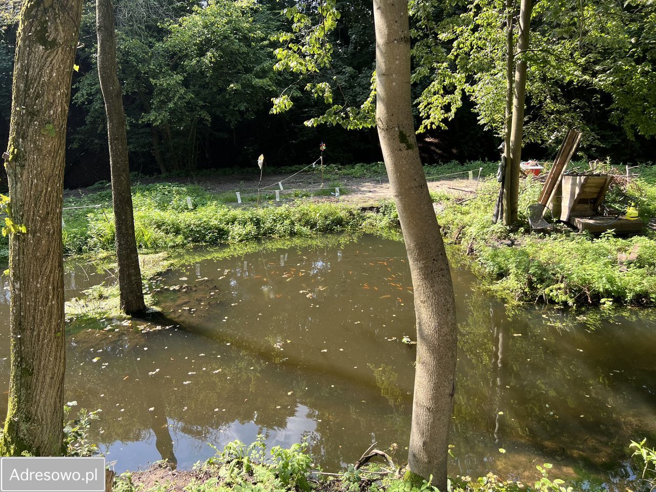 siedlisko Tuszewo. Zdjęcie 11