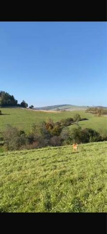 Działka budowlana Kulaszne. Zdjęcie 1