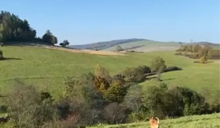 Działka budowlana Kulaszne