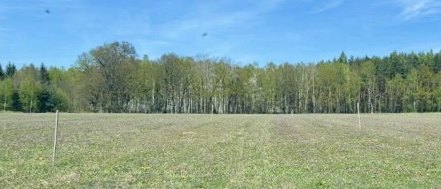 Działka siedliskowa Sucha, Brak. Zdjęcie 1