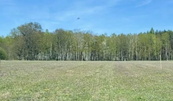 Działka siedliskowa Sucha, Brak