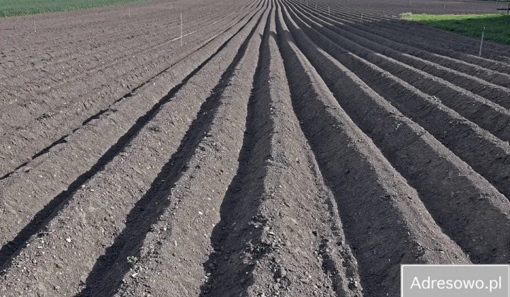 Działka rolna Prehoryłe