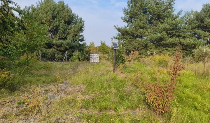 Działka rolna Czyżeminek