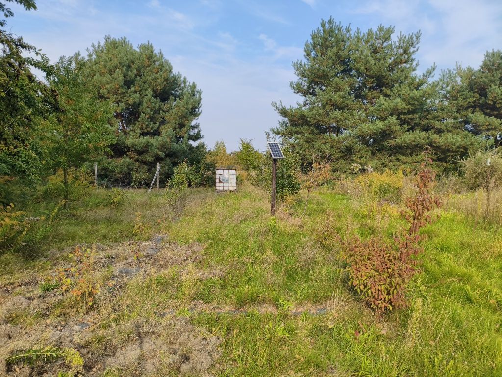 Działka rolna Czyżeminek. Zdjęcie 1