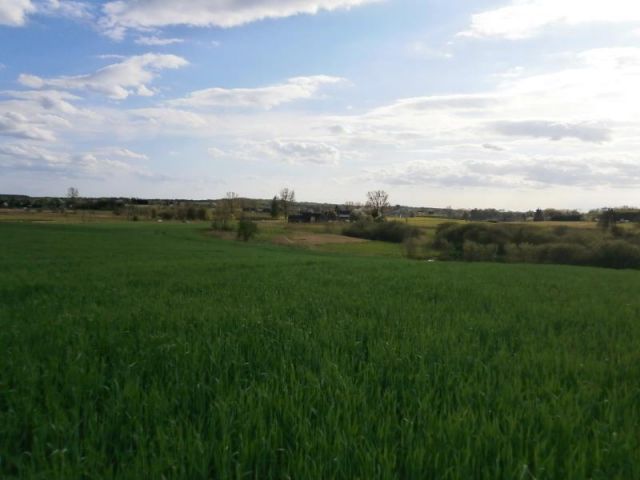 Działka rolna Jeleń. Zdjęcie 1