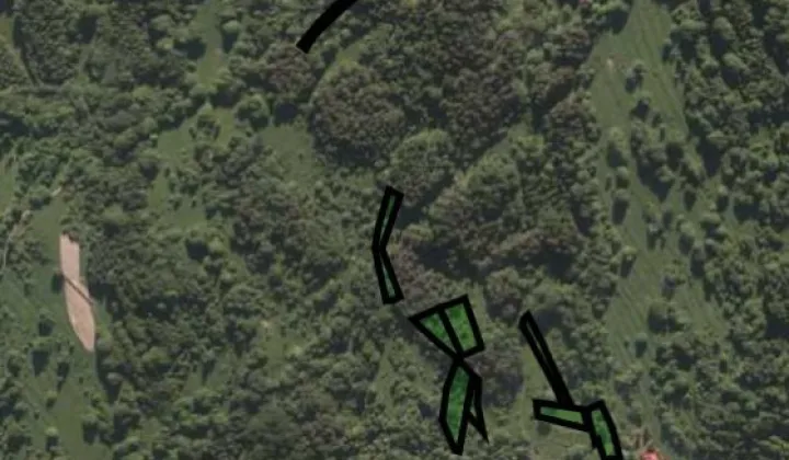 Działka leśna Pewel Wielka