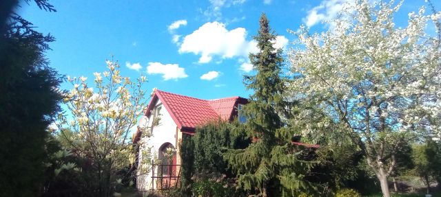 Działka rod Wołomin, ogród Uroczysko. Zdjęcie 1