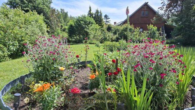 Działka rekreacyjna Bieszkowice, ul. Okrężna. Zdjęcie 6
