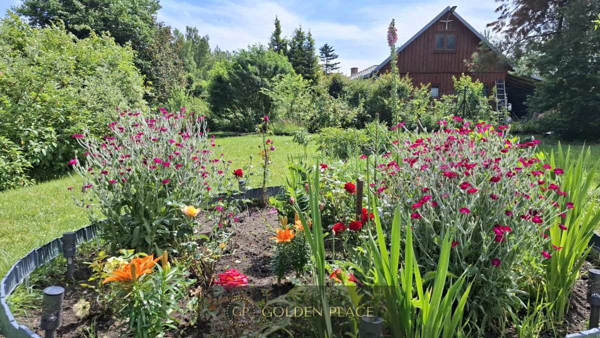 Działka rekreacyjna Bieszkowice, ul. Okrężna. Zdjęcie 6