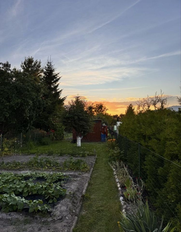 Działka rod Bolesławiec. Zdjęcie 2