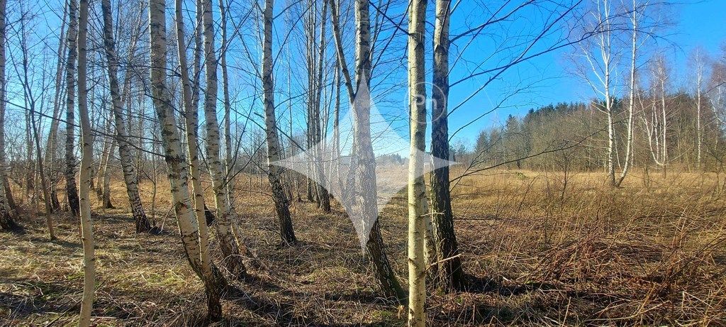 Działka budowlana Różnowo. Zdjęcie 16
