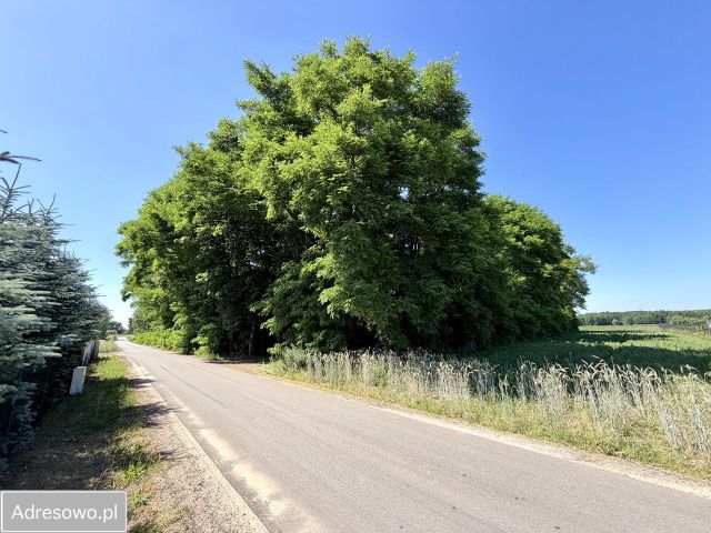 Działka budowlana Magdalenów. Zdjęcie 14