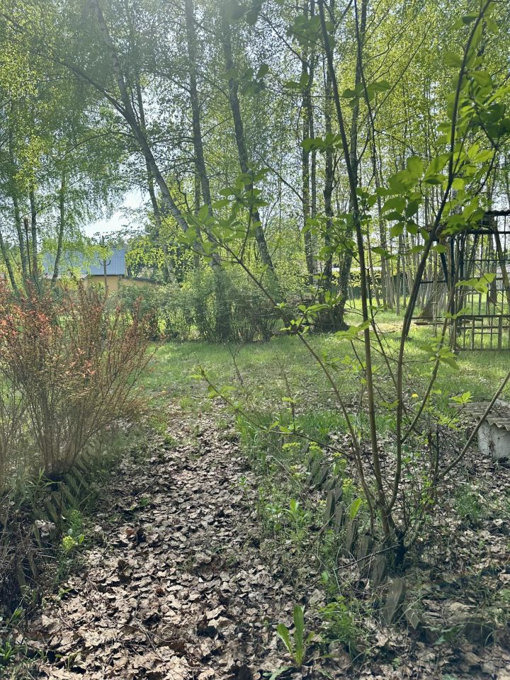Działka budowlana Dąbrowa Duża. Zdjęcie 9