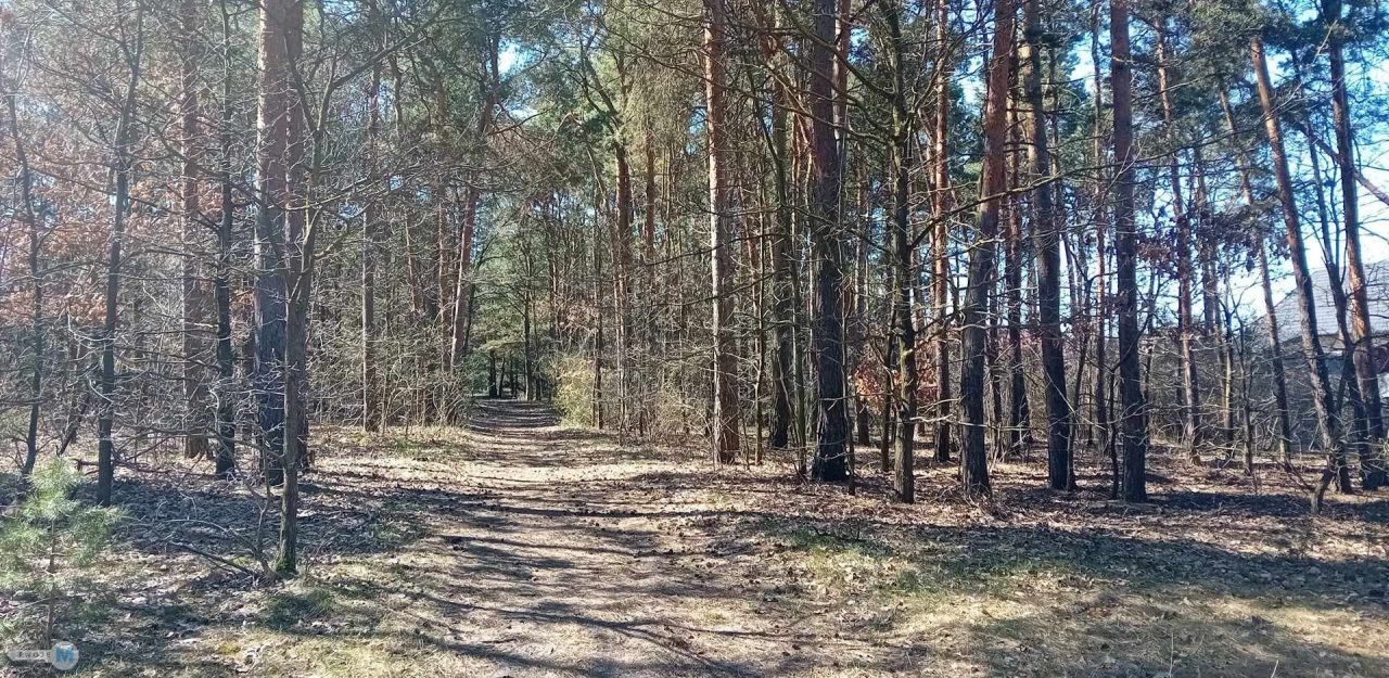 Działka budowlana Morawica. Zdjęcie 2