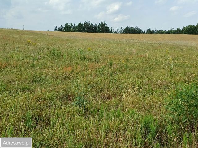 Działka budowlana Połęczyno, ul. na Wzgórzu. Zdjęcie 6