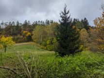 dom wolnostojący, 4 pokoje Błażkowa. Zdjęcie 4